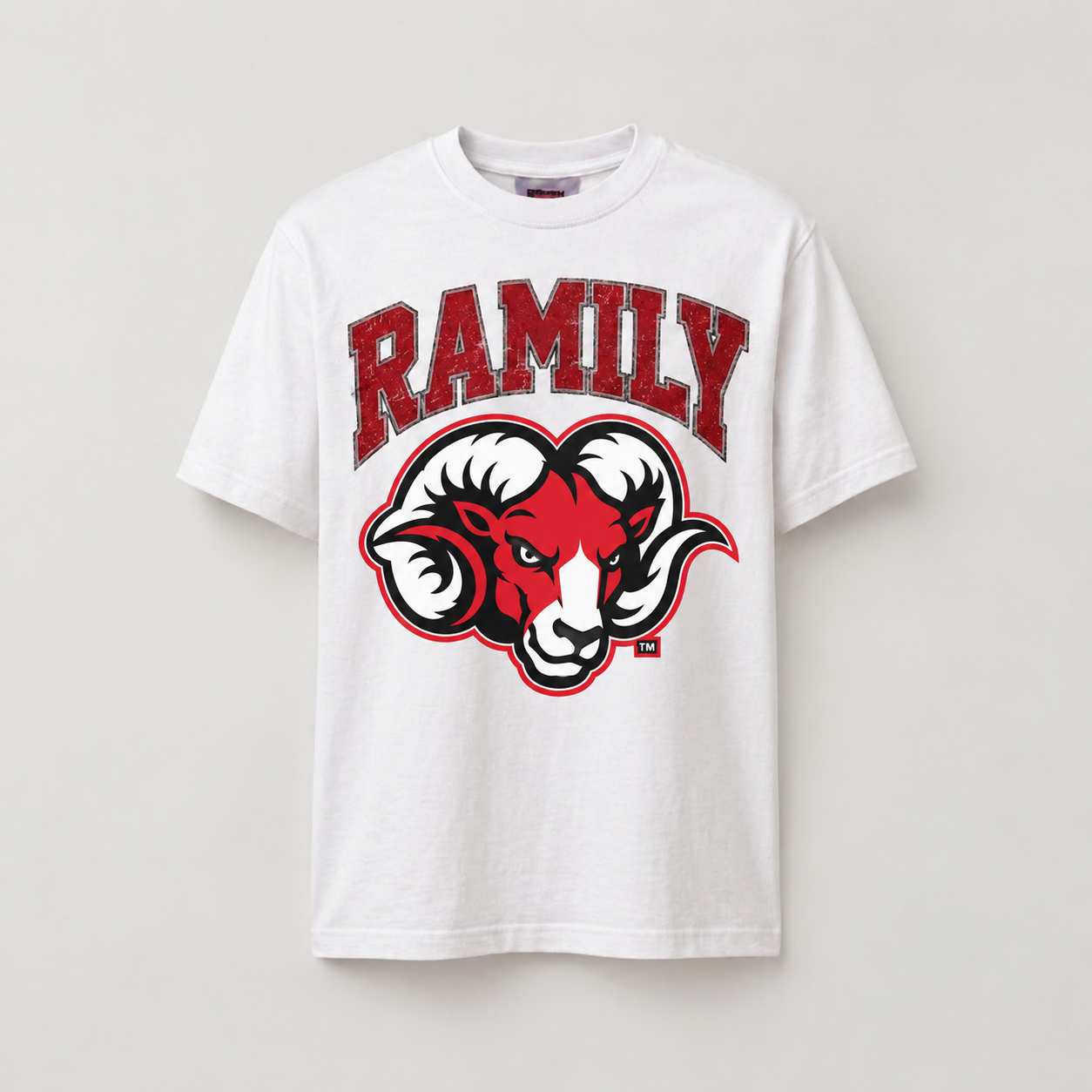 Ramily Distressed Heritage Embroidered Graphic Tee