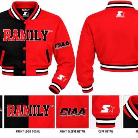 Ramily Cropped Embroidered Varsity Jacket